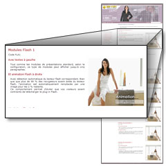 Mise en page avec animation Flash